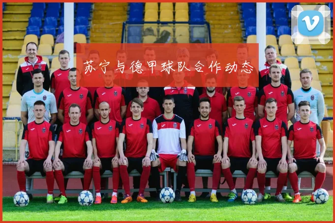 苏宁与德甲球队合作动态