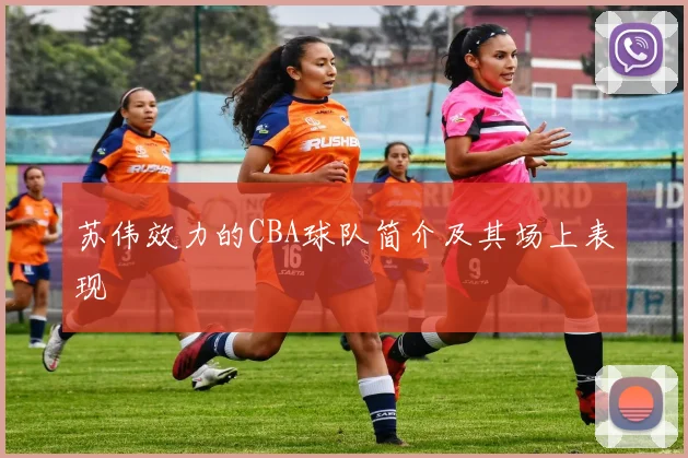 苏伟效力的CBA球队简介及其场上表现