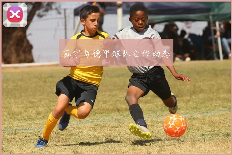 苏宁与德甲球队合作动态