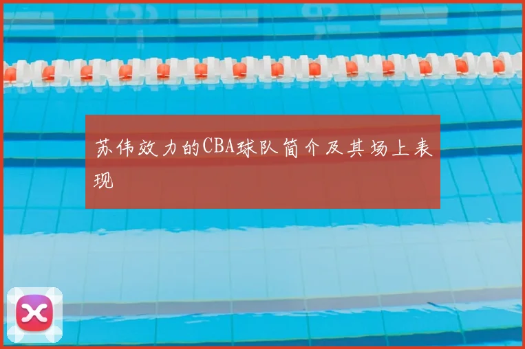 苏伟效力的CBA球队简介及其场上表现