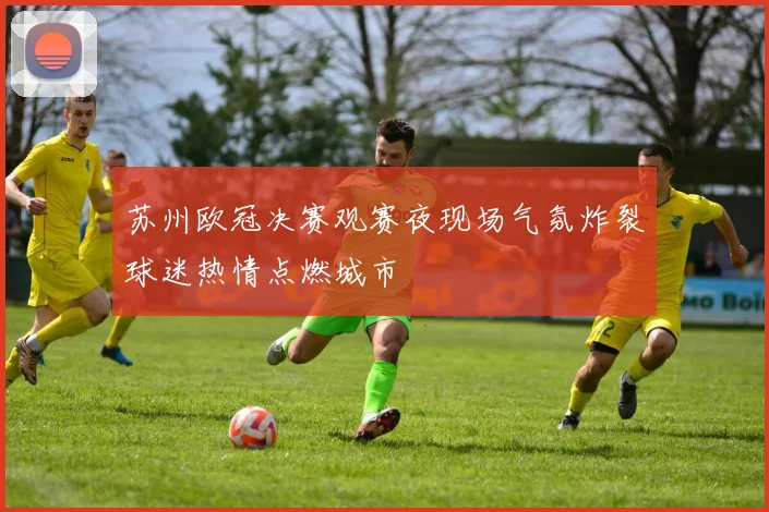 苏州欧冠决赛观赛夜现场气氛炸裂球迷热情点燃城市